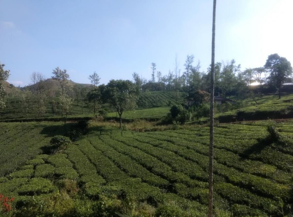 Lavender Hotel Vagamon Exterior photo